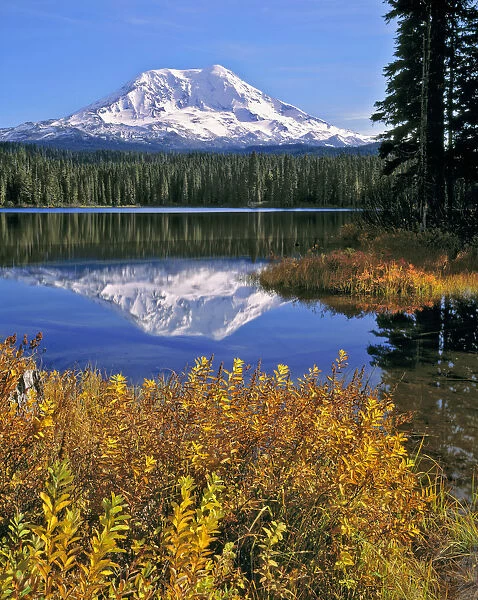 USA, Washington State, Mt Adams. Washington States Mt Adams is mirrored in the