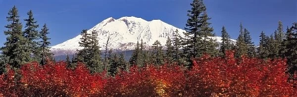 USA, Washington State, Mt Adams. Mt Adams, at 12, 276 feet, is the southern most volcano