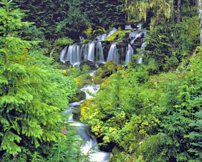 Framed Print : USA, Washington State, Mt Adams Wilderness. Twin Creek Falls cascades through lush