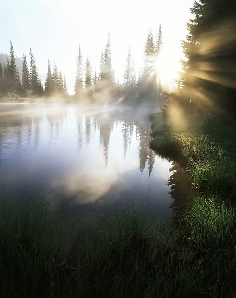 USA, Washington State, Mt Rainier National Park, Sunbeam along shore of reflection