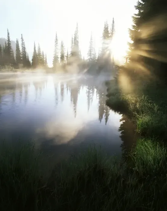 Framed Print : USA, Washington State, Mt Rainier National Park, Sunbeam along shore of reflection