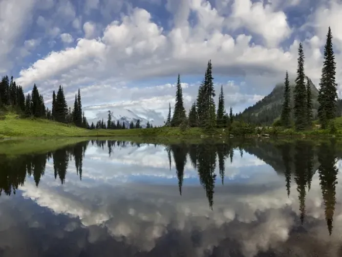 Framed Print : USA, Washington State, Mt. Rainier National Park