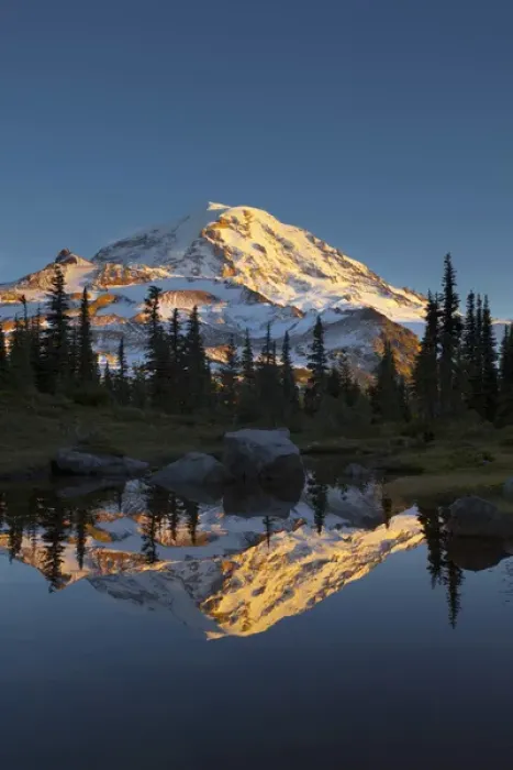 Framed Print : USA, Washington State, Mt. Rainier National Park