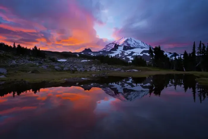 Framed Print : USA, Washington State, Mt. Rainier National Park Framed Print : USA, Washington State, Mt. Rainier National Park