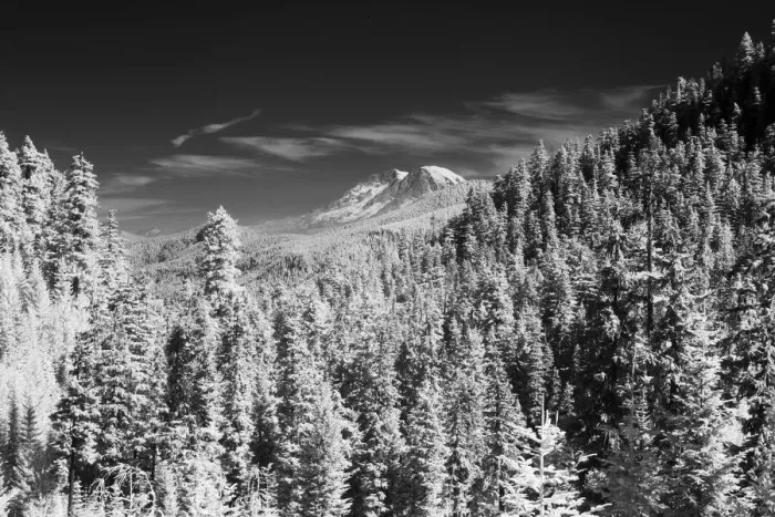Framed Print : USA, Washington State, Mt. Rainier viewed from the South