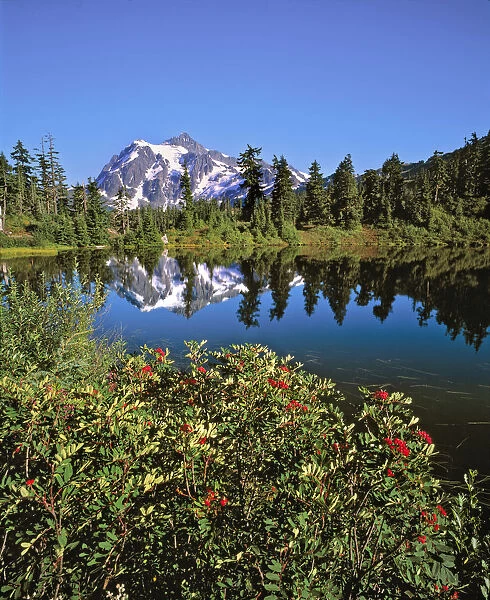 USA, Washington State, Mt Shuksan. Reflection Lake in Washington States North