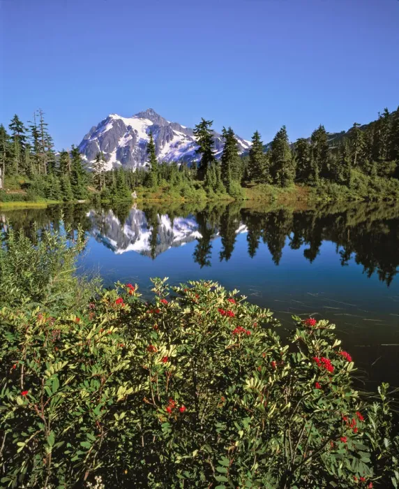 Framed Print : USA, Washington State, Mt Shuksan. Reflection Lake in Washington States North Framed Print : USA, Washington State, Mt Shuksan. Reflection Lake in Washington States North