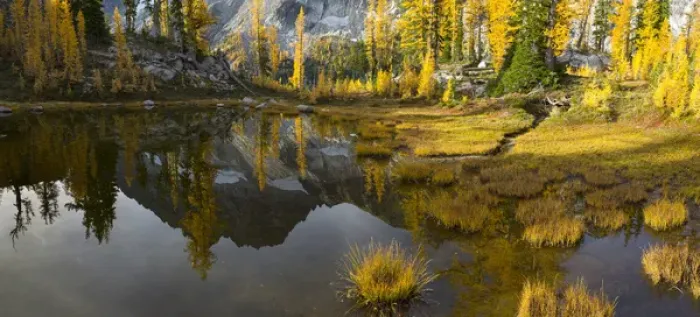 Framed Print : USA, Washington State. Mt. Stuart reflects in a tarn near Horseshoe Lake, Alpine Lakes Wilderness Framed Print : USA, Washington State. Mt. Stuart reflects in a tarn near Horseshoe Lake, Alpine Lakes Wilderness