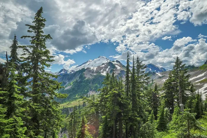 Framed Print : USA, Washington State, North Cascades National Park