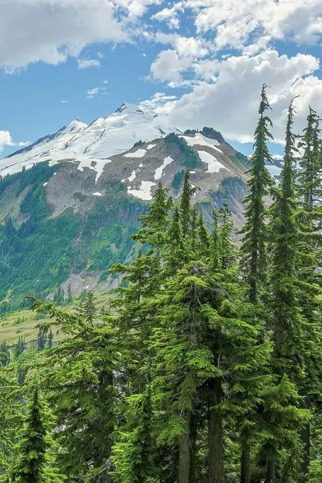Framed Print : USA, Washington State, North Cascades National Park Framed Print : USA, Washington State, North Cascades National Park