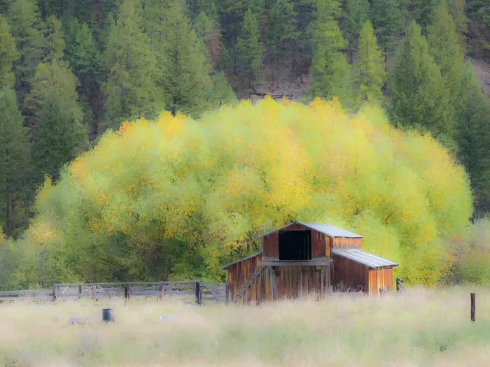 Framed Print : USA, Washington State, Okanogan County. Old barn in a field in the fall Framed Print : USA, Washington State, Okanogan County. Old barn in a field in the fall