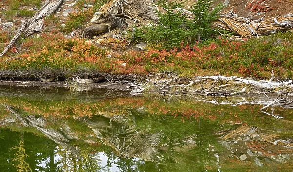 USA, Washington State. Okanogan-Wenatchee National Forest, Alpine pond