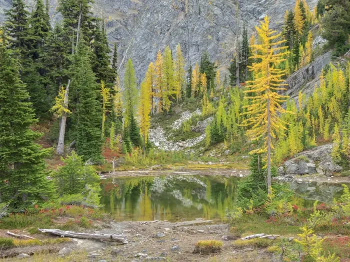 Framed Print : USA, Washington State. Okanogan-Wenatchee National Forest, Alpine pond Framed Print : USA, Washington State. Okanogan-Wenatchee National Forest, Alpine pond