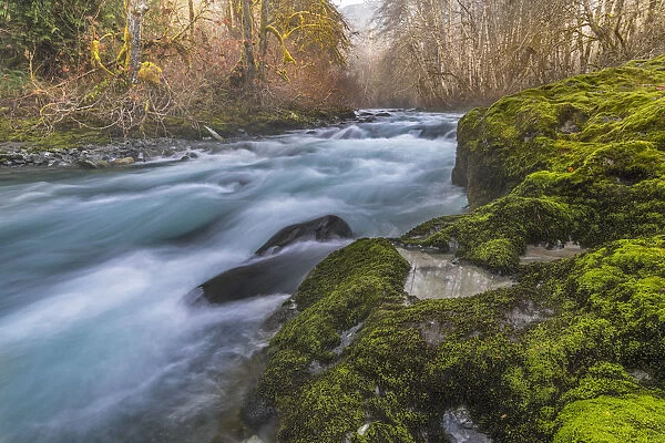 USA, Washington State, Olympic National Forest. Moss-covered river bank. Credit as