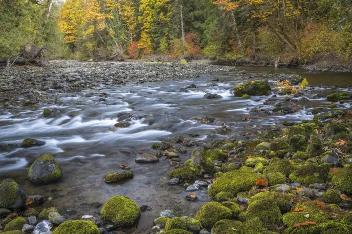 Framed Print : USA, Washington State, Olympic National Forest. Fall forest colors river. Credit as Framed Print : USA, Washington State, Olympic National Forest. Fall forest colors river. Credit as