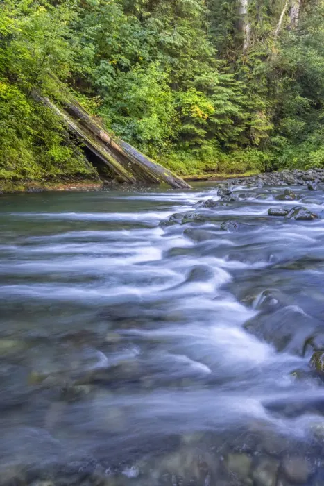 Framed Print : USA, Washington State, Olympic National Forest. Rapids on Duckabush River Framed Print : USA, Washington State, Olympic National Forest. Rapids on Duckabush River