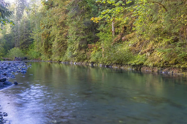 USA, Washington State, Olympic National Forest. Duckabush River landscape