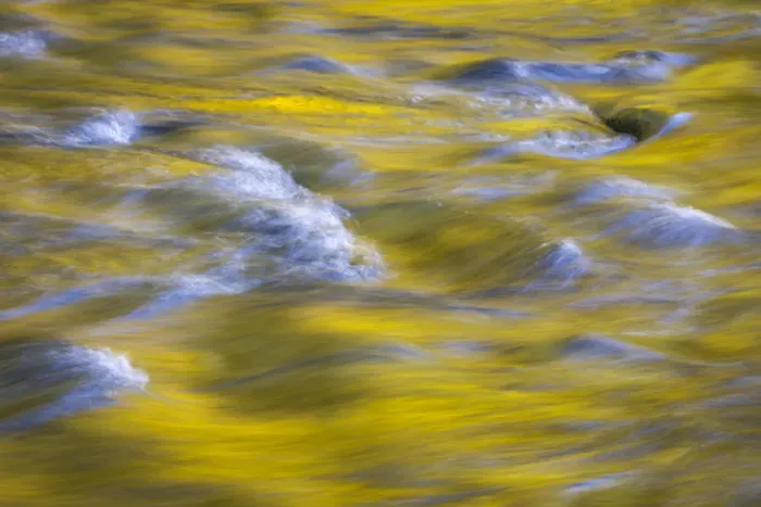 Framed Print : USA, Washington State, Olympic National Park. Golden river reflections from sunlit maple trees Framed Print : USA, Washington State, Olympic National Park. Golden river reflections from sunlit maple trees