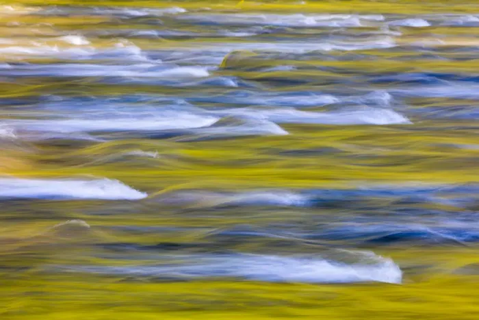 Framed Print : USA, Washington State, Olympic National Park. Golden river reflections from sunlit maple trees Framed Print : USA, Washington State, Olympic National Park. Golden river reflections from sunlit maple trees