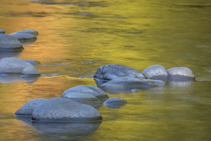 Framed Print : USA, Washington State, Olympic National Park. Golden river reflections from sunlit maple trees