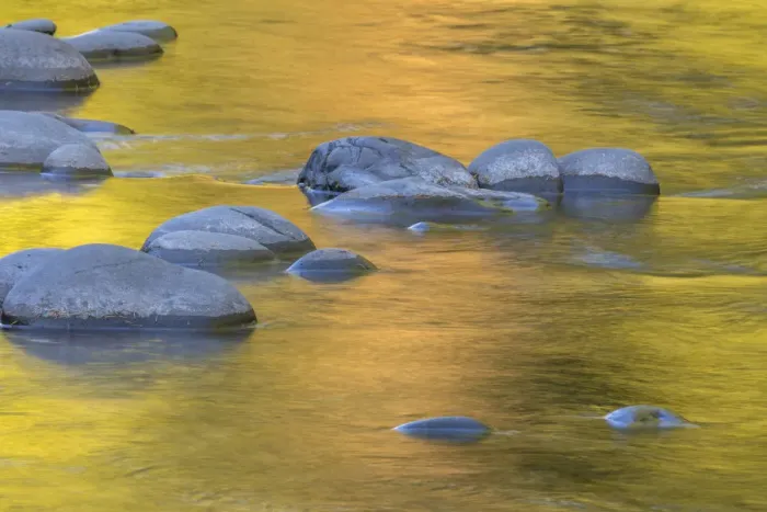 Framed Print : USA, Washington State, Olympic National Park. Golden river reflections from sunlit maple trees Framed Print : USA, Washington State, Olympic National Park. Golden river reflections from sunlit maple trees