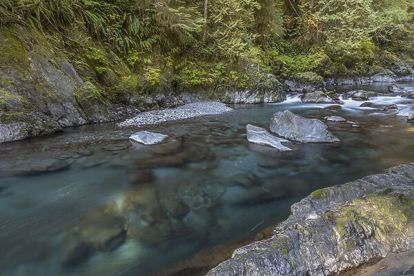 USA, Washington State, Olympic National Park. Quinault River landscape. Credit as