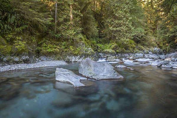 USA, Washington State, Olympic National Park. Quinault River landscape. Credit as