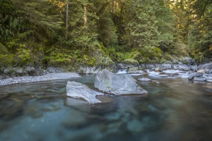 Framed Print : USA, Washington State, Olympic National Park. Quinault River landscape. Credit as Framed Print : USA, Washington State, Olympic National Park. Quinault River landscape. Credit as