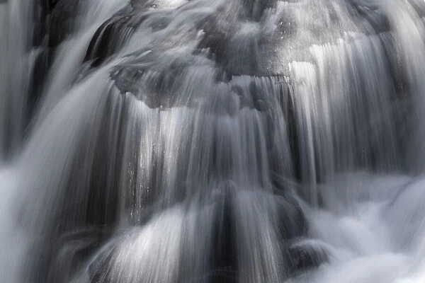 USA, Washington State, Olympic National Park. Waterfall on Canyon Creek