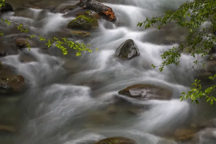 Framed Print : USA, Washington State, Olympic National Park. Dungeness River rapids Framed Print : USA, Washington State, Olympic National Park. Dungeness River rapids