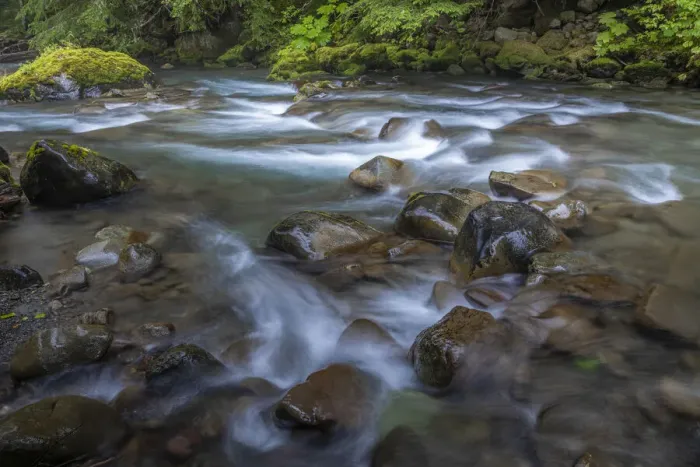 Framed Print : USA, Washington State, Olympic National Park. Dungeness River rapids Framed Print : USA, Washington State, Olympic National Park. Dungeness River rapids