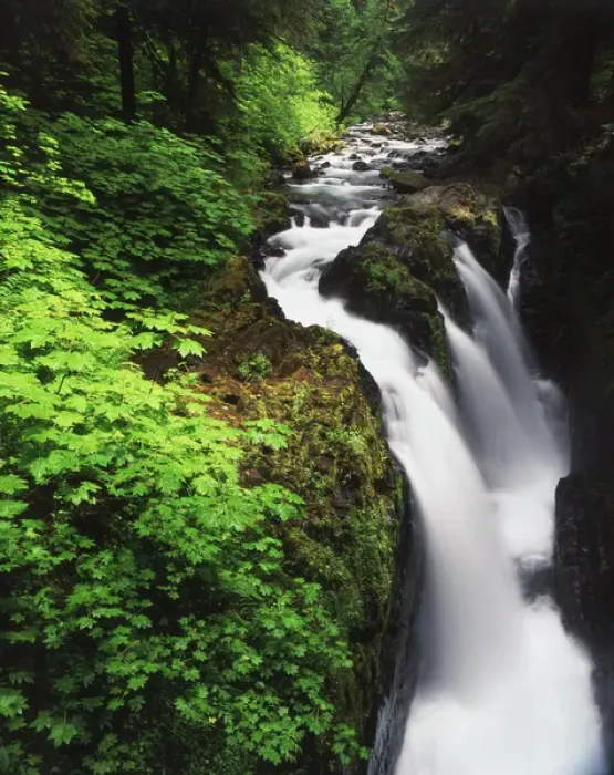Framed Print : USA, Washington State, Olympic Peninsula, Olympic National Park, View of Sol Duc Falls Framed Print : USA, Washington State, Olympic Peninsula, Olympic National Park, View of Sol Duc Falls