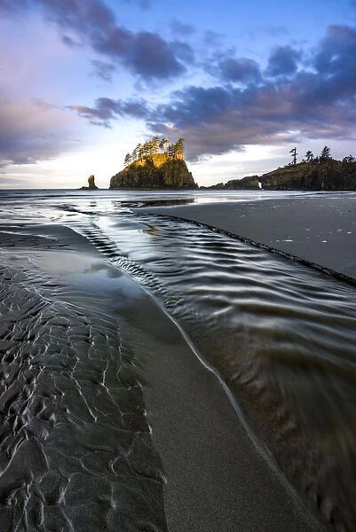 USA, Washington State, Olympic Peninsula. Second beach sunrise