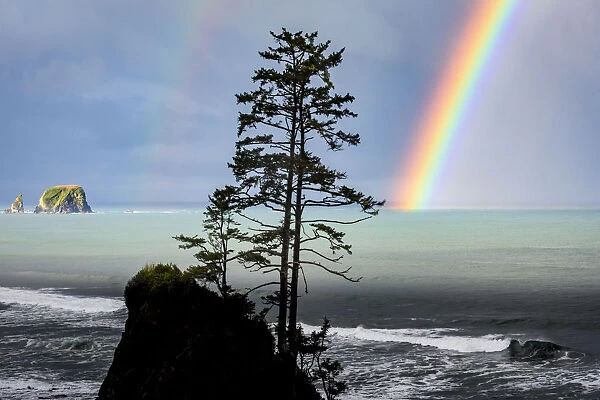 USA, Washington State, Olympic Peninsula. Rainbow over Point of the Arches and Shi Shi Beach