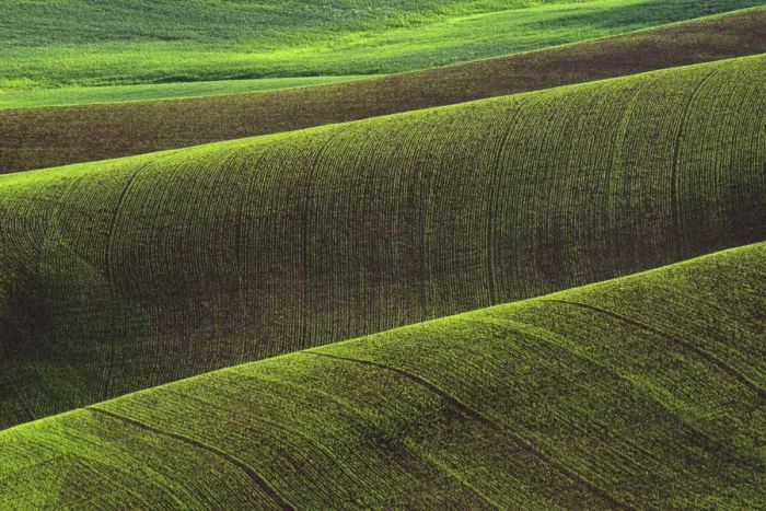 Framed Print : USA, Washington State, Palouse. Rolling wheat field Framed Print : USA, Washington State, Palouse. Rolling wheat field