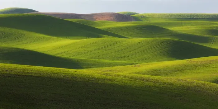 Framed Print : USA, Washington State, Palouse. Rolling hills of wheat fields Framed Print : USA, Washington State, Palouse. Rolling hills of wheat fields