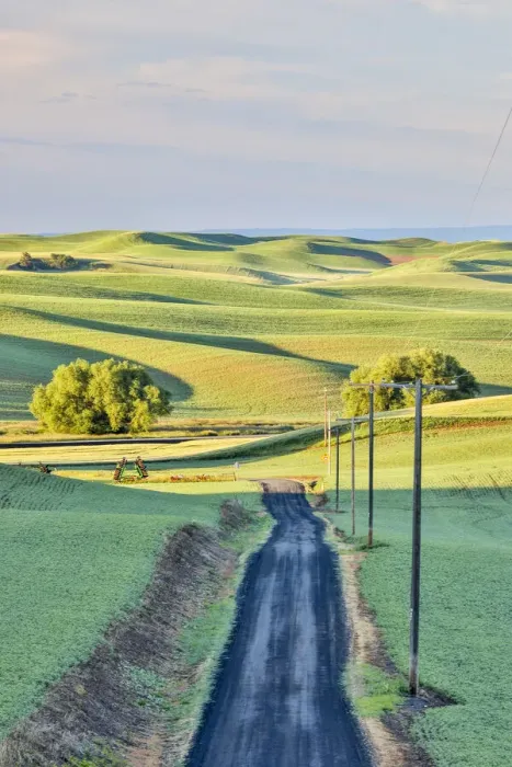 Framed Print : USA, Washington State, Palouse. Rolling hills in Colfax at sunset Framed Print : USA, Washington State, Palouse. Rolling hills in Colfax at sunset
