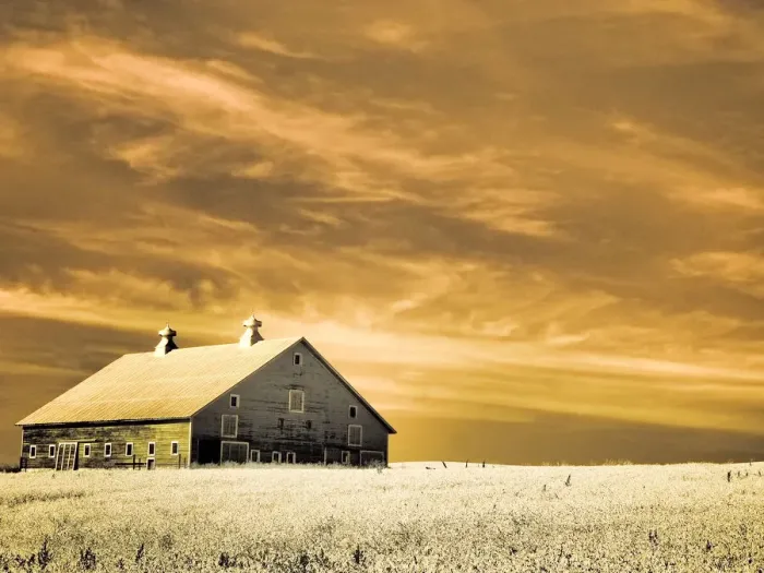 Framed Print : USA, Washington State, Palouse. Old barn in the middle of harvest wheat field