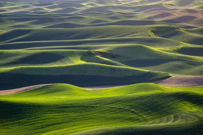 Framed Print : USA, Washington State, Palouse Framed Print : USA, Washington State, Palouse