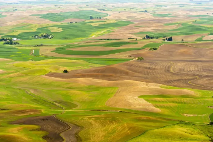 Framed Print : USA, Washington State, Palouse