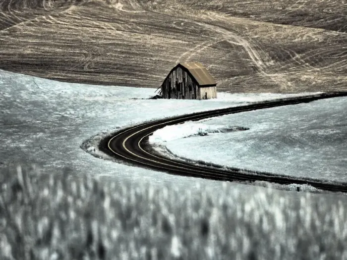 Framed Print : USA, Washington State, Palouse. Road running through the crops with barn along side Framed Print : USA, Washington State, Palouse. Road running through the crops with barn along side