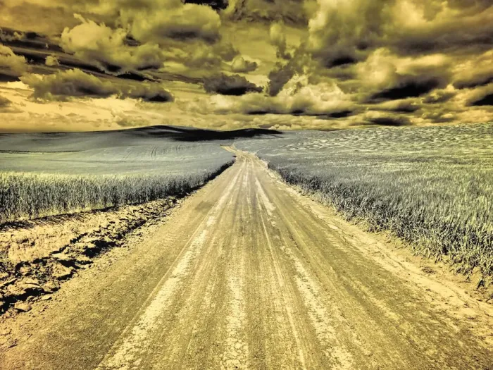 Framed Print : USA, Washington State, Palouse. Country backroad through spring crops Framed Print : USA, Washington State, Palouse. Country backroad through spring crops