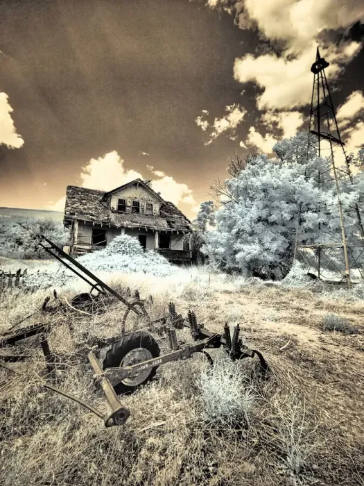 Framed Print : USA, Washington State, Palouse. Abandoned old homestead Framed Print : USA, Washington State, Palouse. Abandoned old homestead