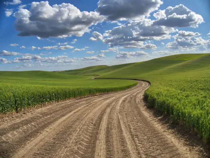Framed Print : USA, Washington State, Palouse, Country Backroad through Spring wheat fields