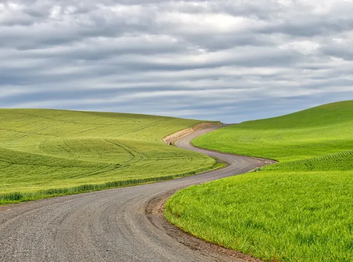 Framed Print : USA, Washington State, Palouse. Backcountry road leading through winter and spring wheat fields Framed Print : USA, Washington State, Palouse. Backcountry road leading through winter and spring wheat fields
