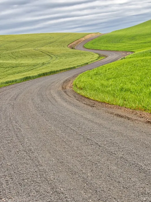 Framed Print : USA, Washington State, Palouse. Backcountry road leading through winter and spring wheat fields Framed Print : USA, Washington State, Palouse. Backcountry road leading through winter and spring wheat fields
