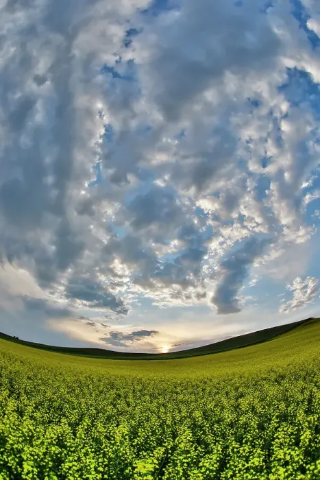 Framed Print : USA, Washington State, Palouse. Springtime landscape and Canola fields