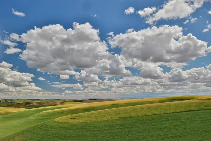 Framed Print : USA, Washington State, Palouse. Rolling hills with winter and spring wheat