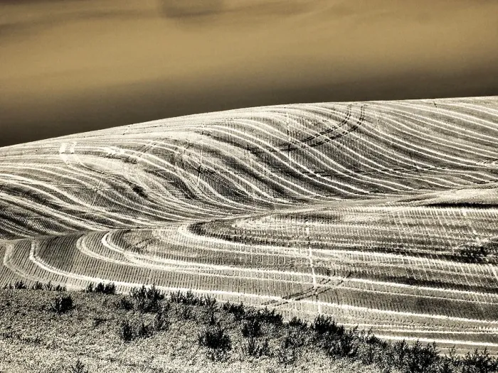 Framed Print : USA, Washington State, Palouse. Infrared of field patterns Framed Print : USA, Washington State, Palouse. Infrared of field patterns