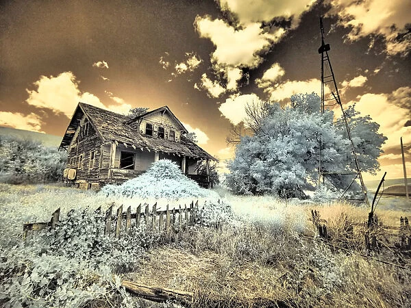 USA, Washington State, Palouse. Abandoned old homestead